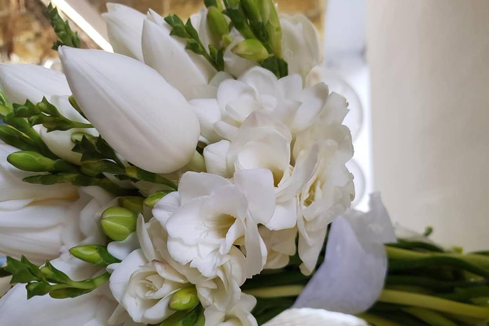 Bouquet Fresie e Tulipani
