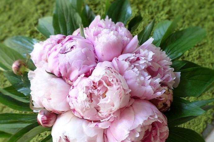 Bouquet sposa Paeonia