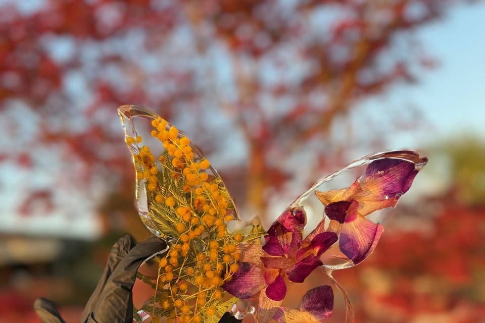 Farfalla