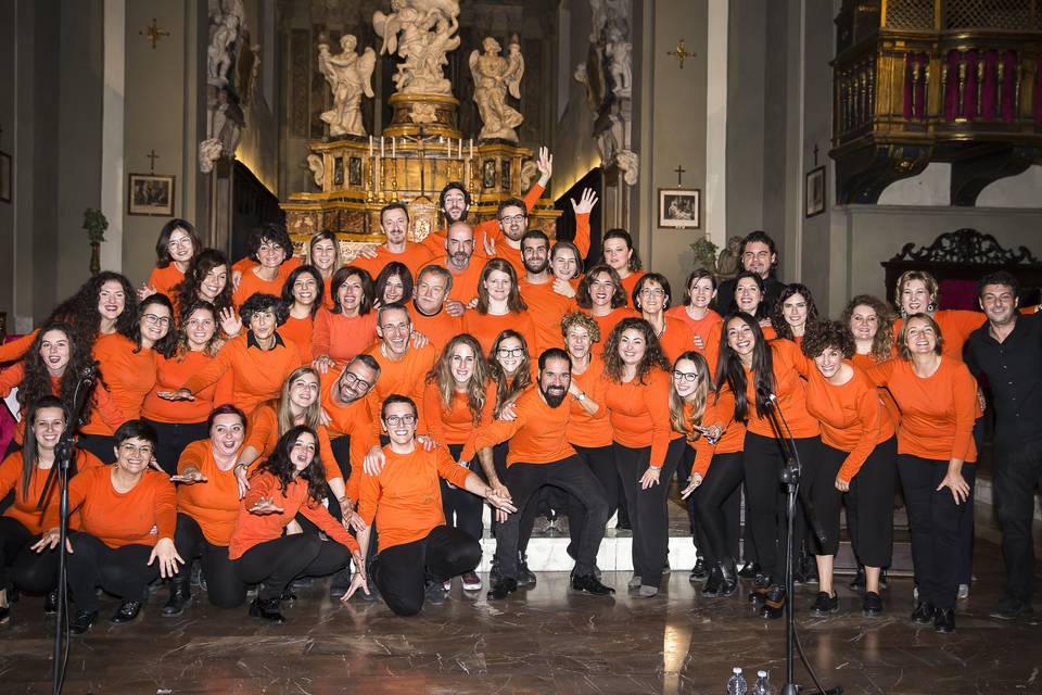 Siena Gospel Project 2017