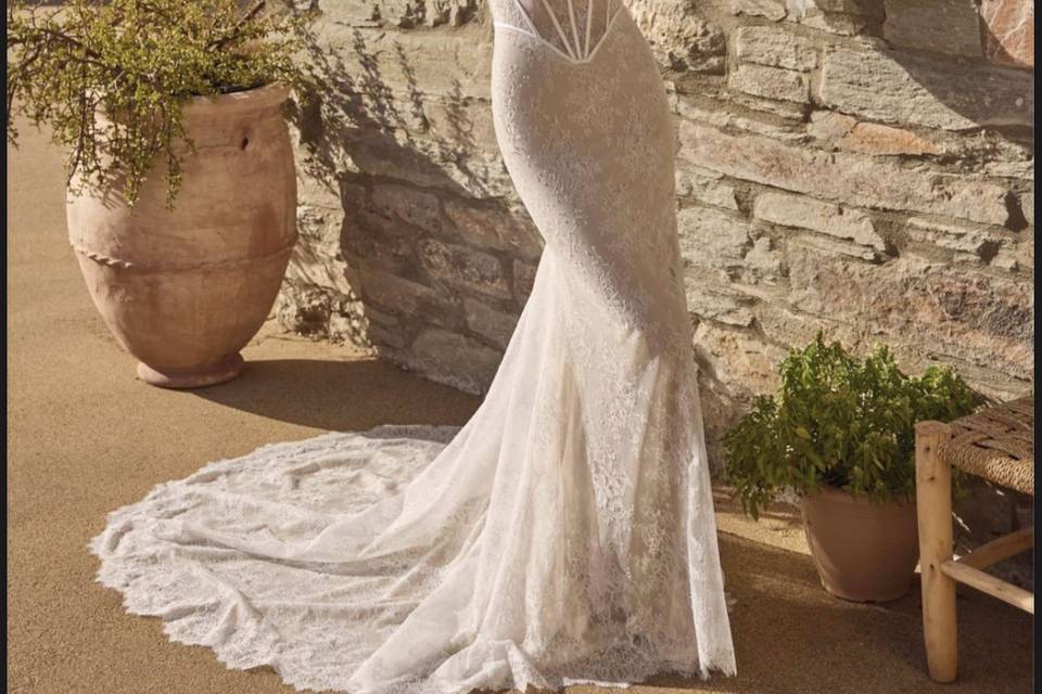 Laura Spose