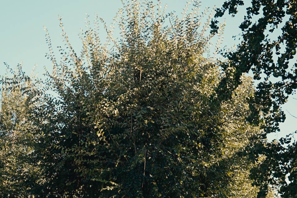 Parco anteriore