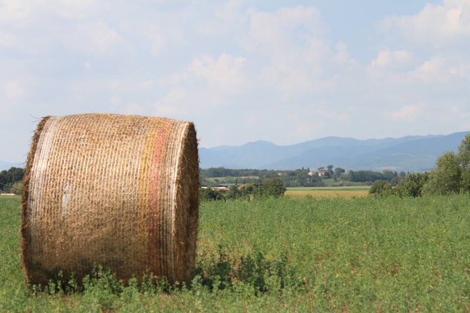 Agriturismo Fiorella