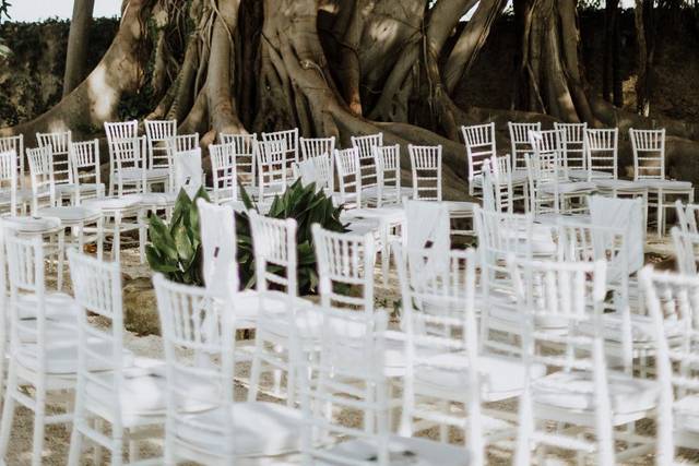 Piume e peonie bianche