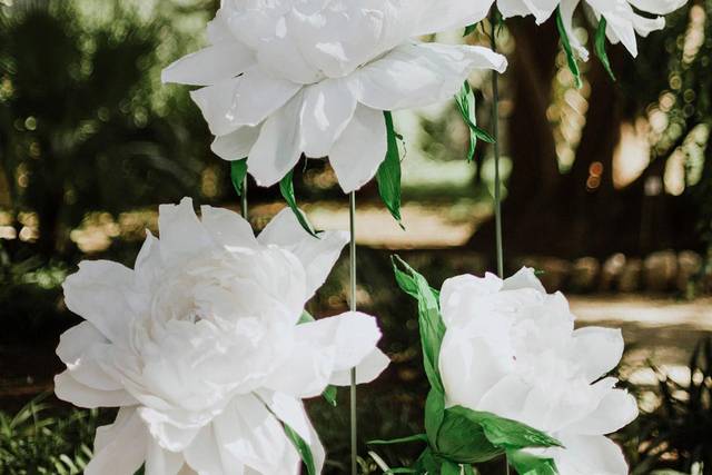 Piume e peonie bianche