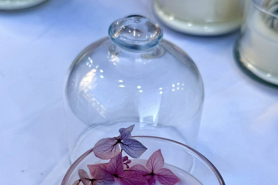 Fiori di ciliegio