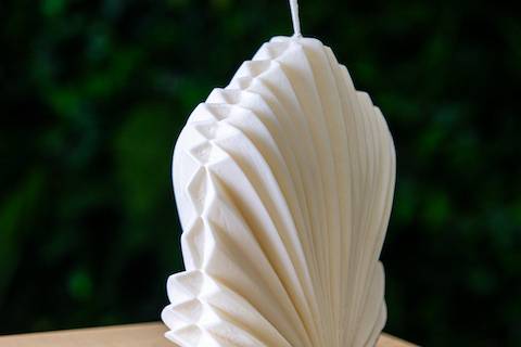 Conchiglia2