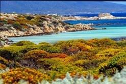 Sardegna/Sardinia