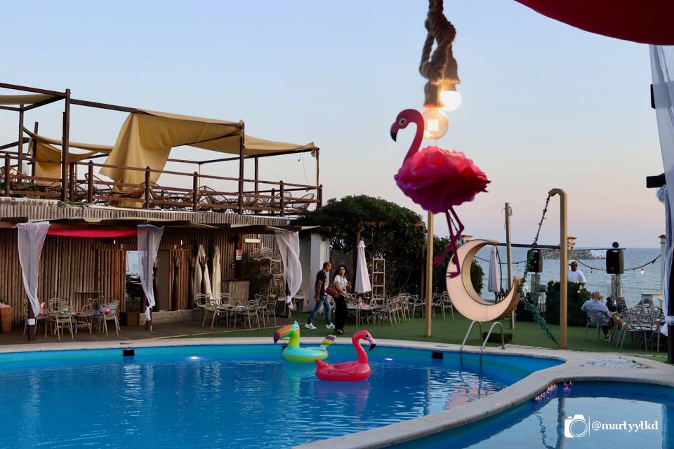 Figli Delle Stelle Eventi