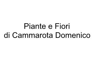 Piante e Fiori di Cammarota Domenico