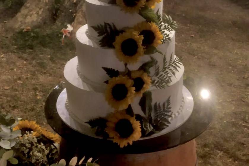 Torta girasoli