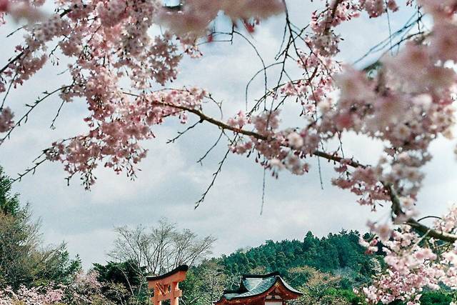 Osaka