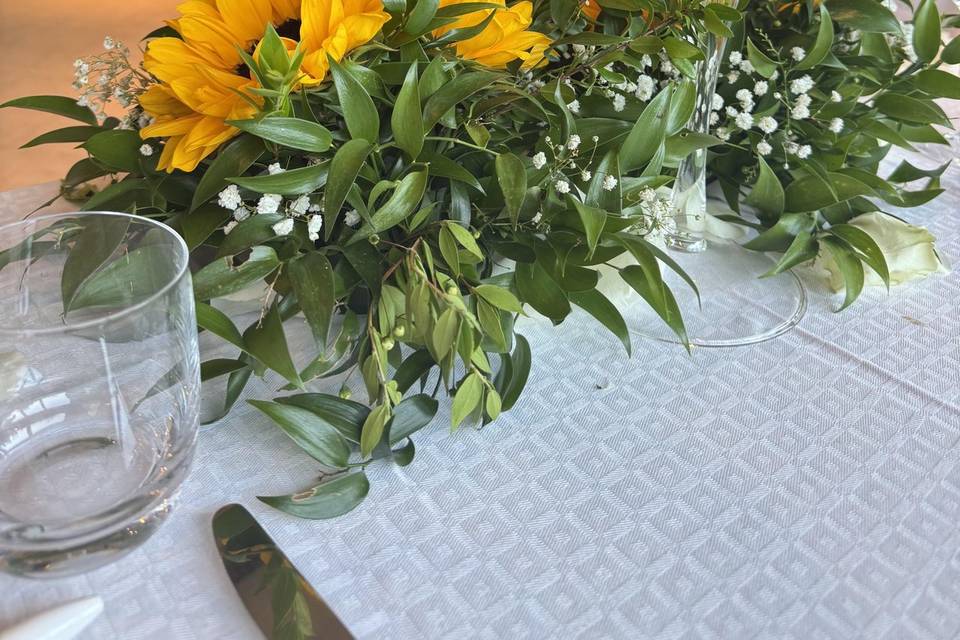 Girasoli