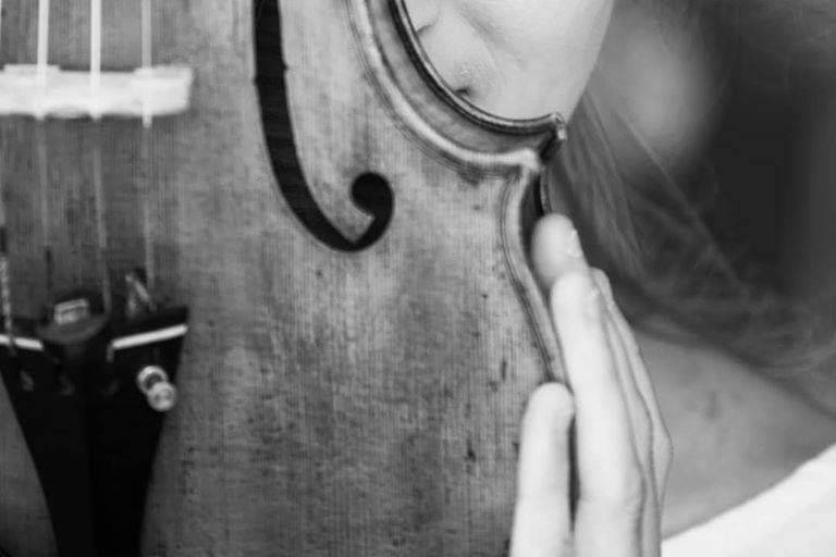 Violino