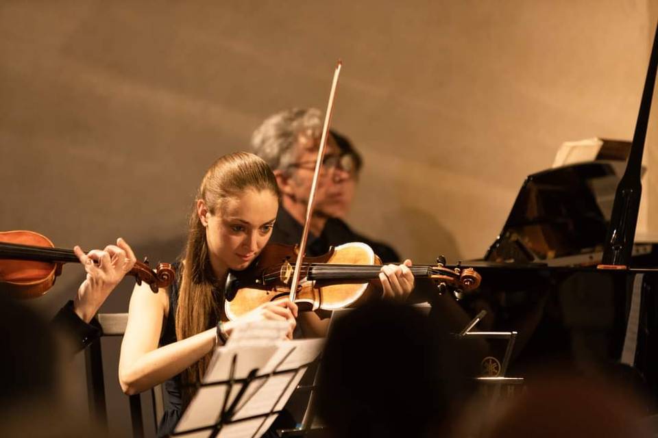 Violinista