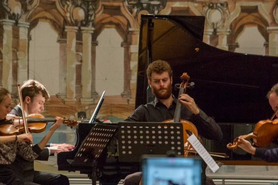 Violino eventi