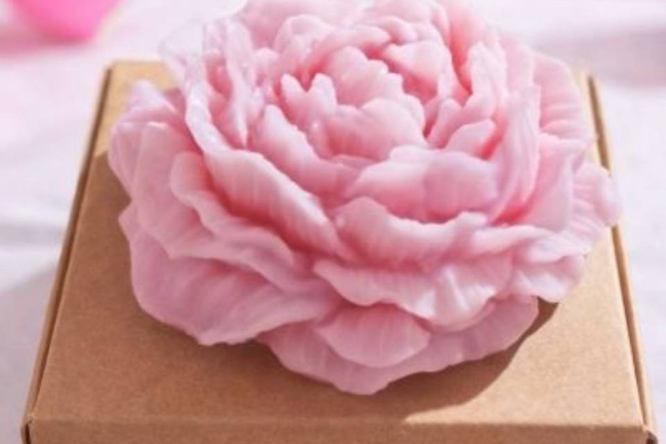 PEONIA