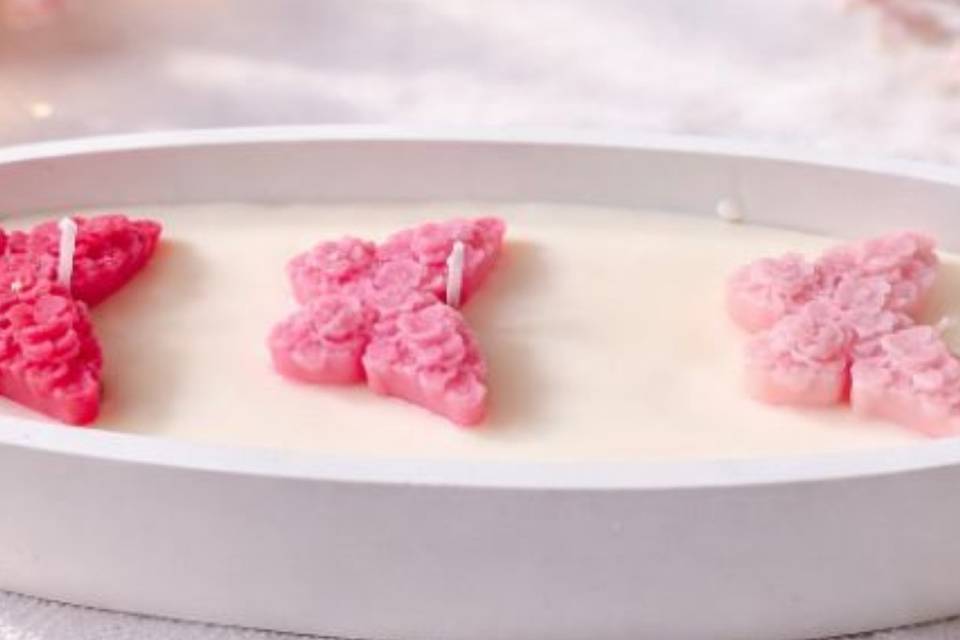 Farfalle in armonia