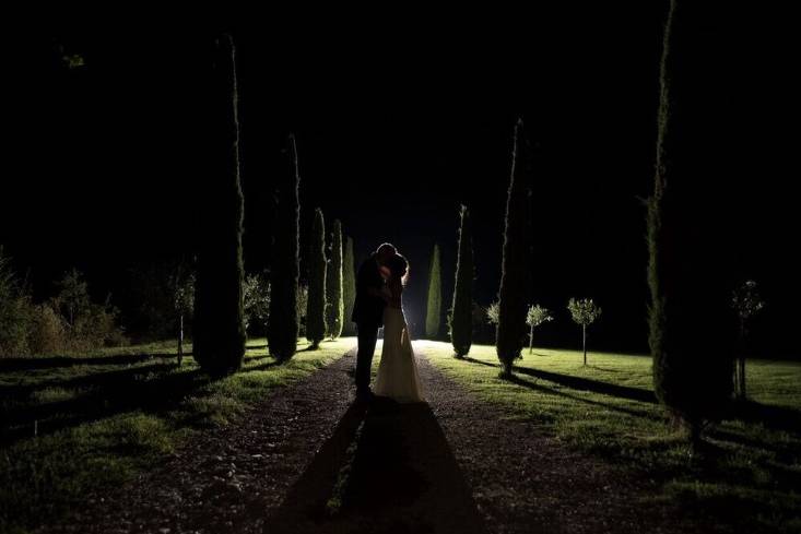 Cypress tree alley