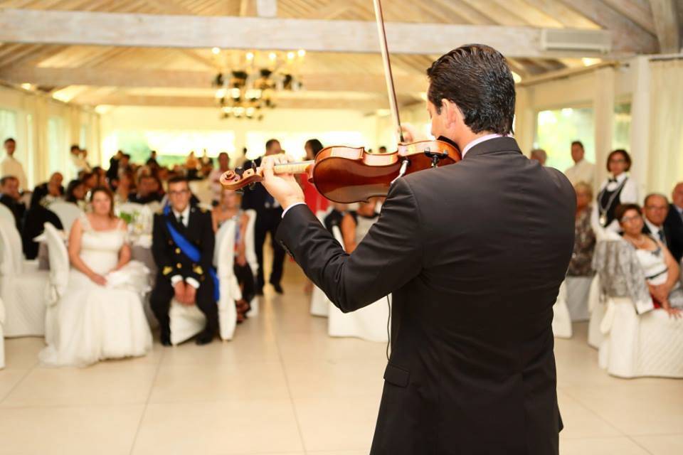 Violino