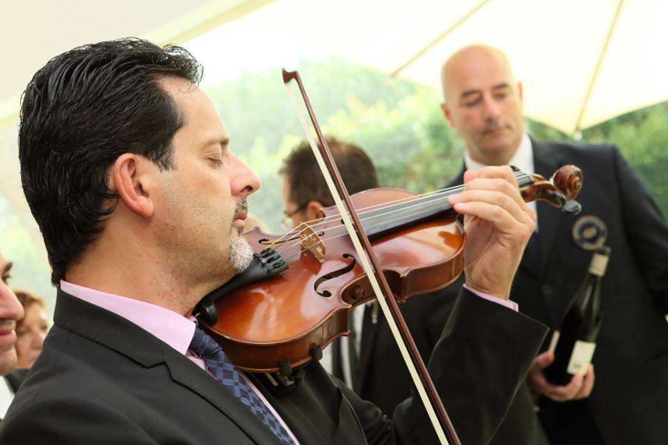 Violino