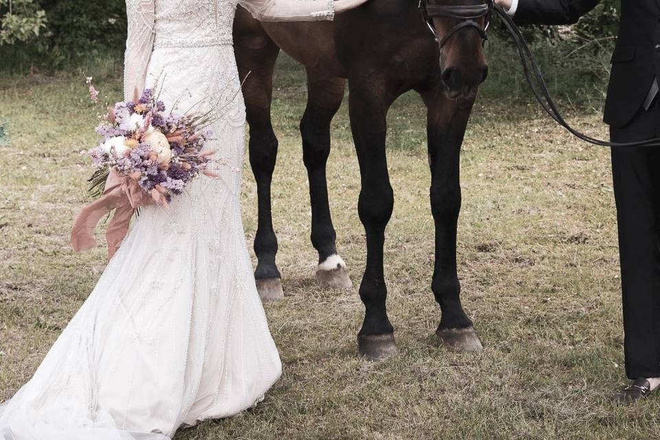 Wedding & horse