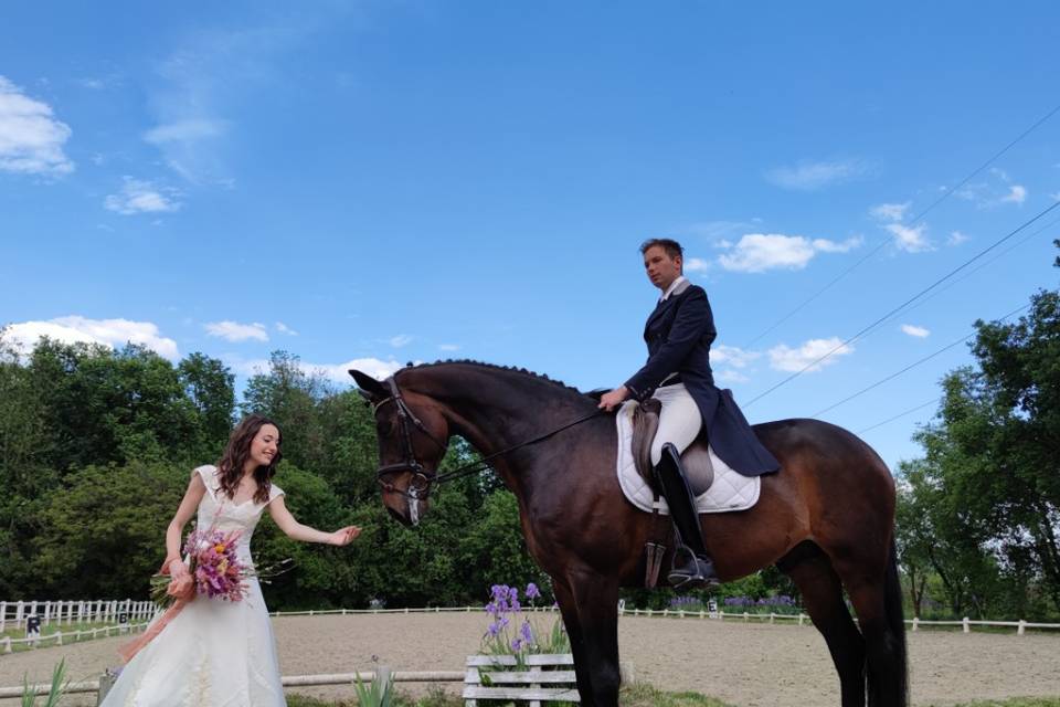 Wedding & horse