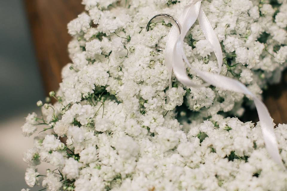 Il Giardino delle Fate di Maura Colli