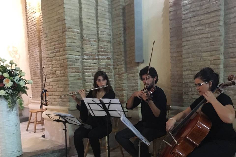 Flauto, violino e violoncello