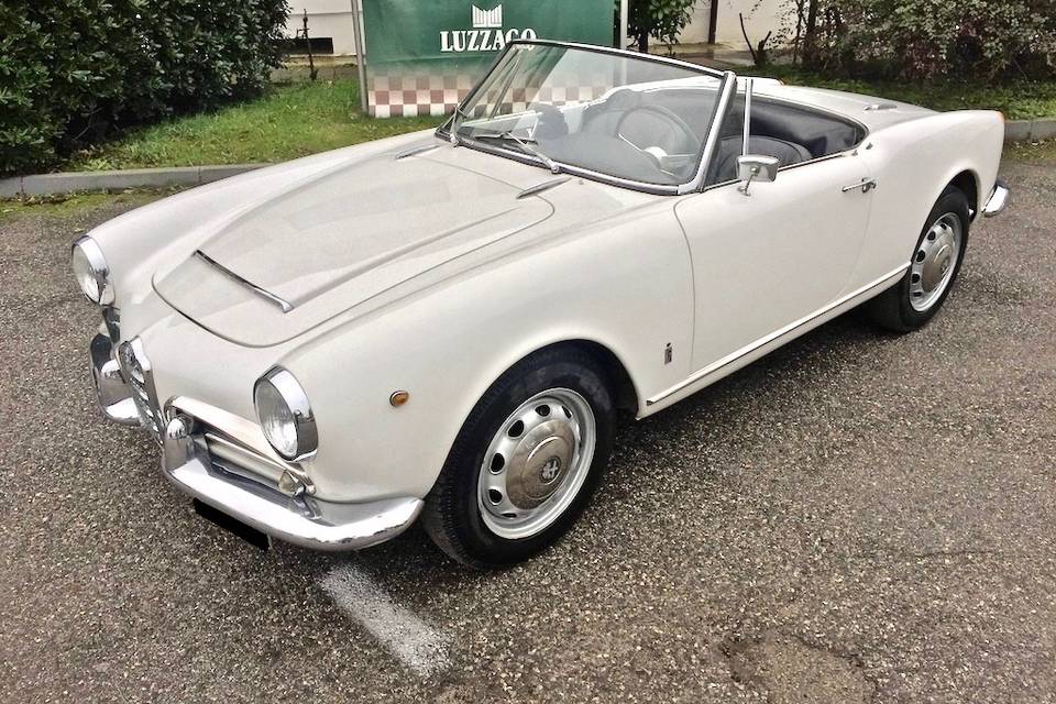 Alfa Romeo giulia spider