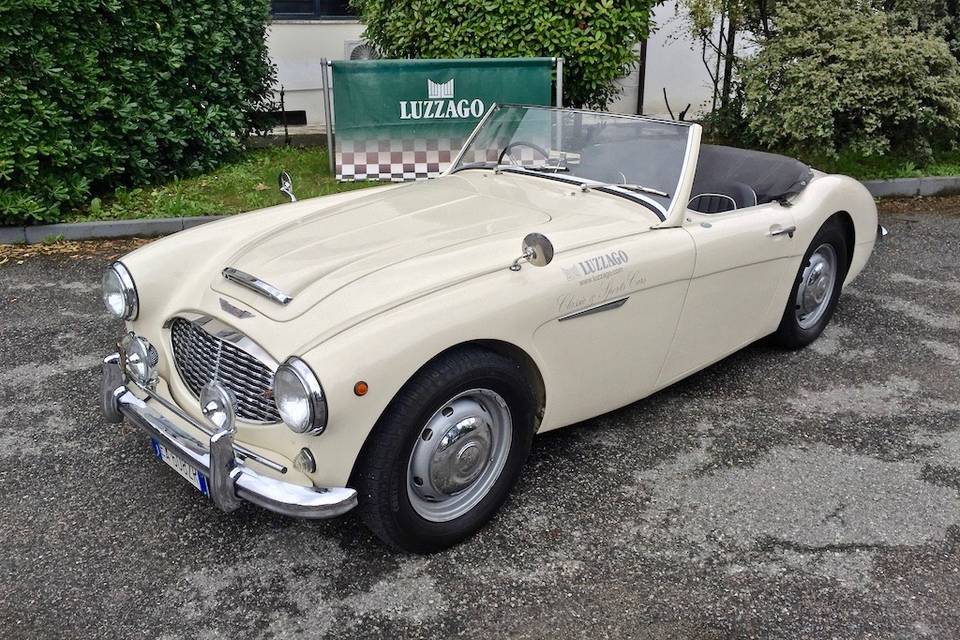 Alfa Romeo giulia spider