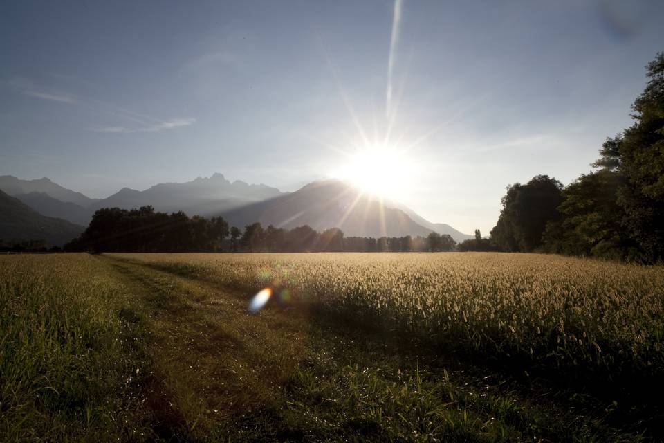 Cascina Borgofrancone