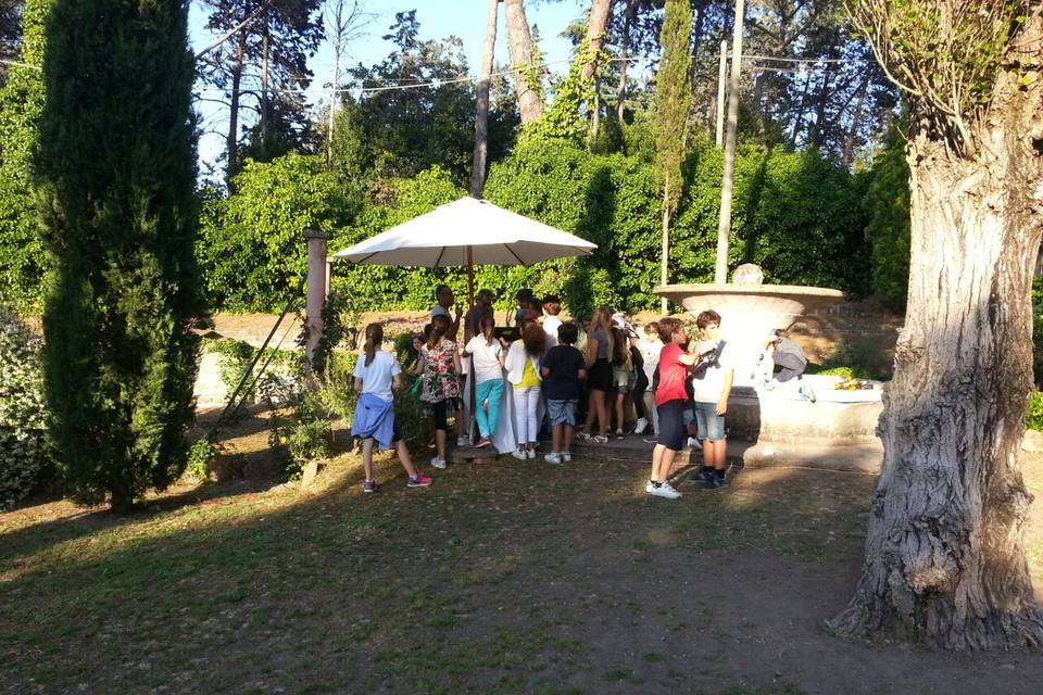 Festa Compleanno