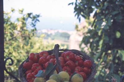 Azienda Agrituristica San Leonardello