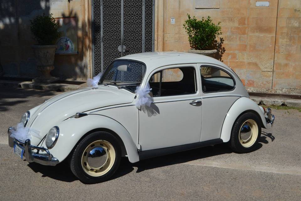 Servizio auto 