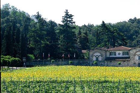 Tenuta Redaelli de Zinis