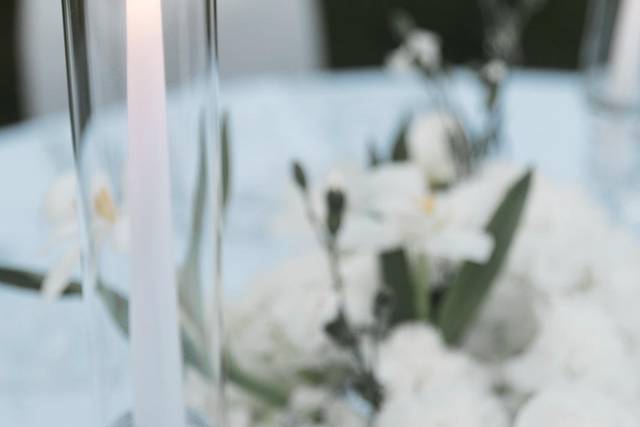 Bianco