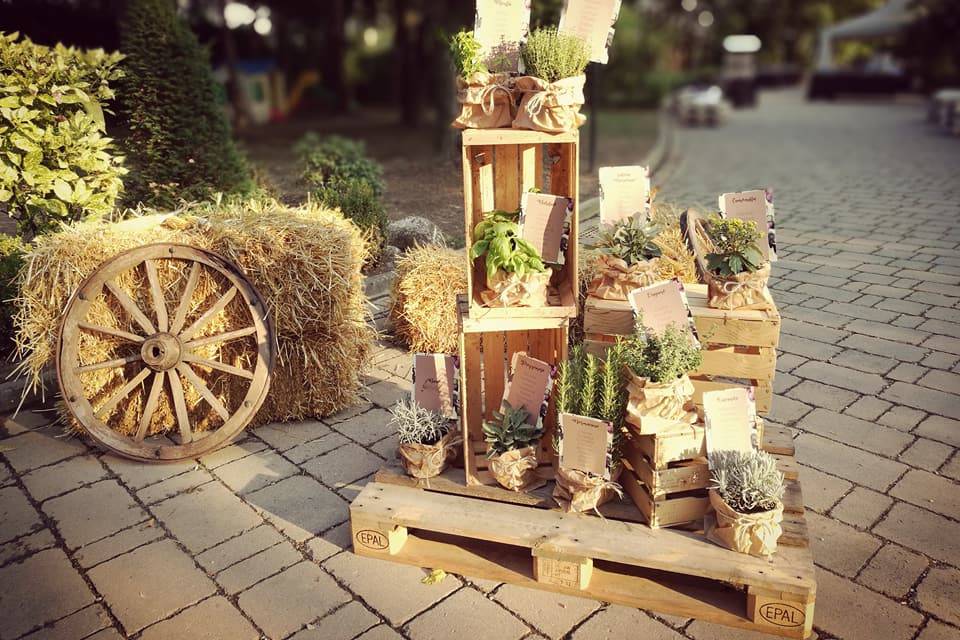 Tableau mariage piante officin