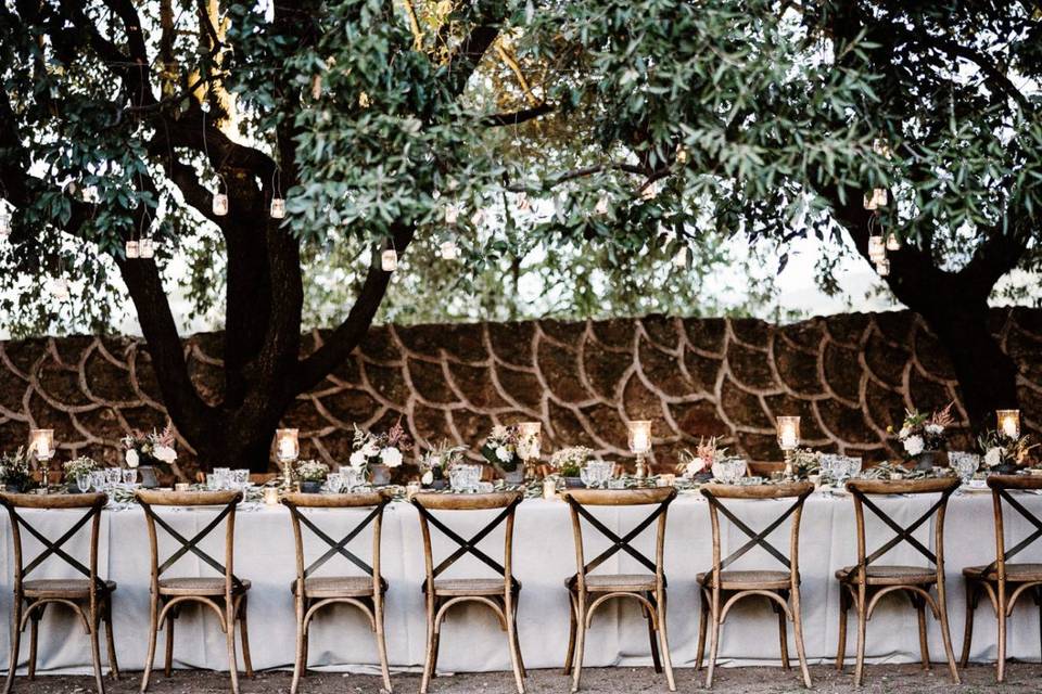 Table setteing