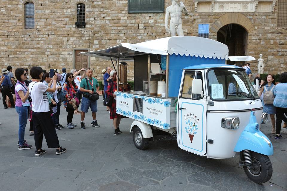 L'apina attira i turisti