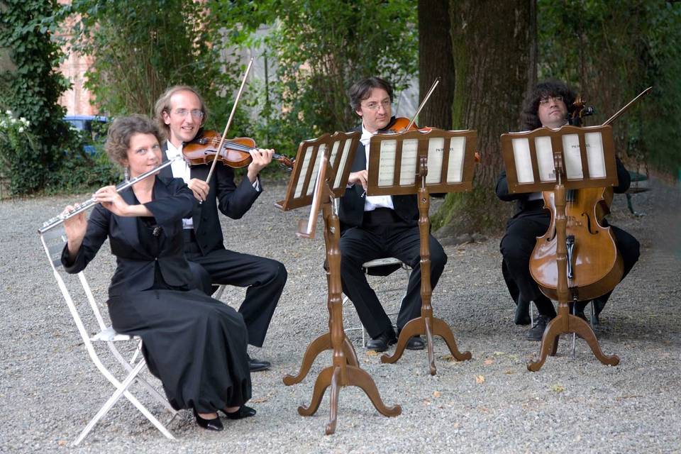 Professional Concert Ensemble