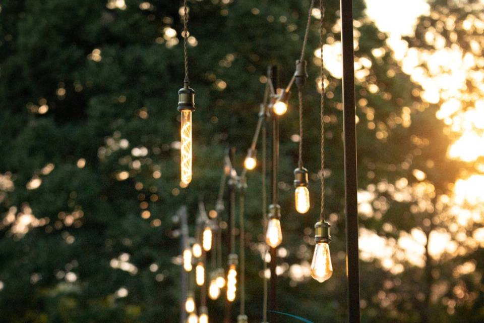 Vintage bulbs golden cascade