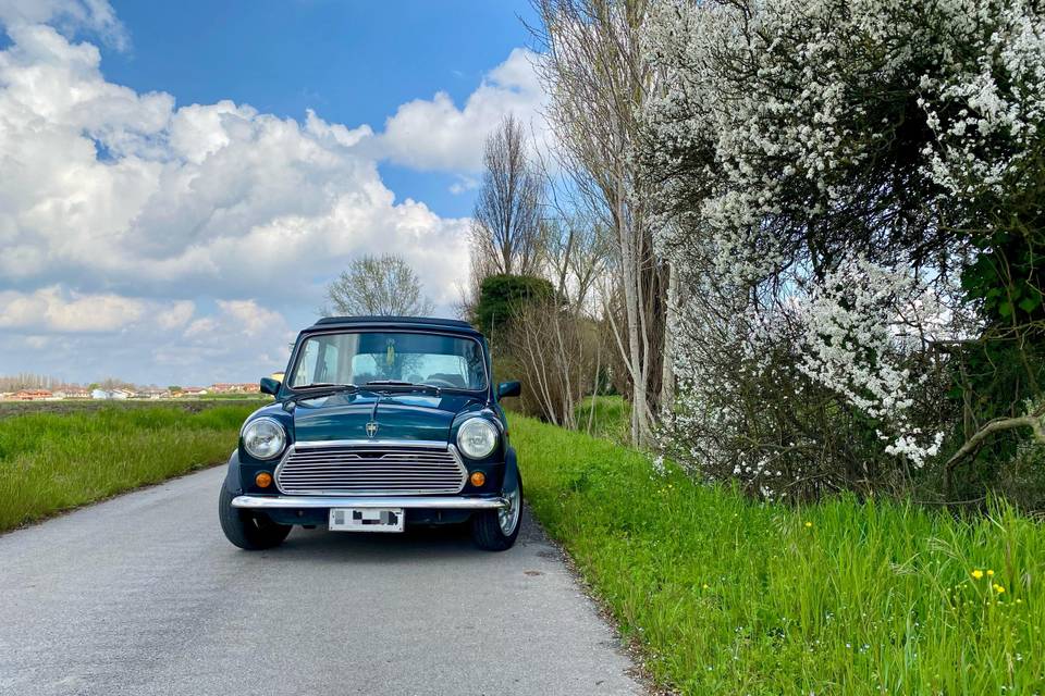 Auto nozze
