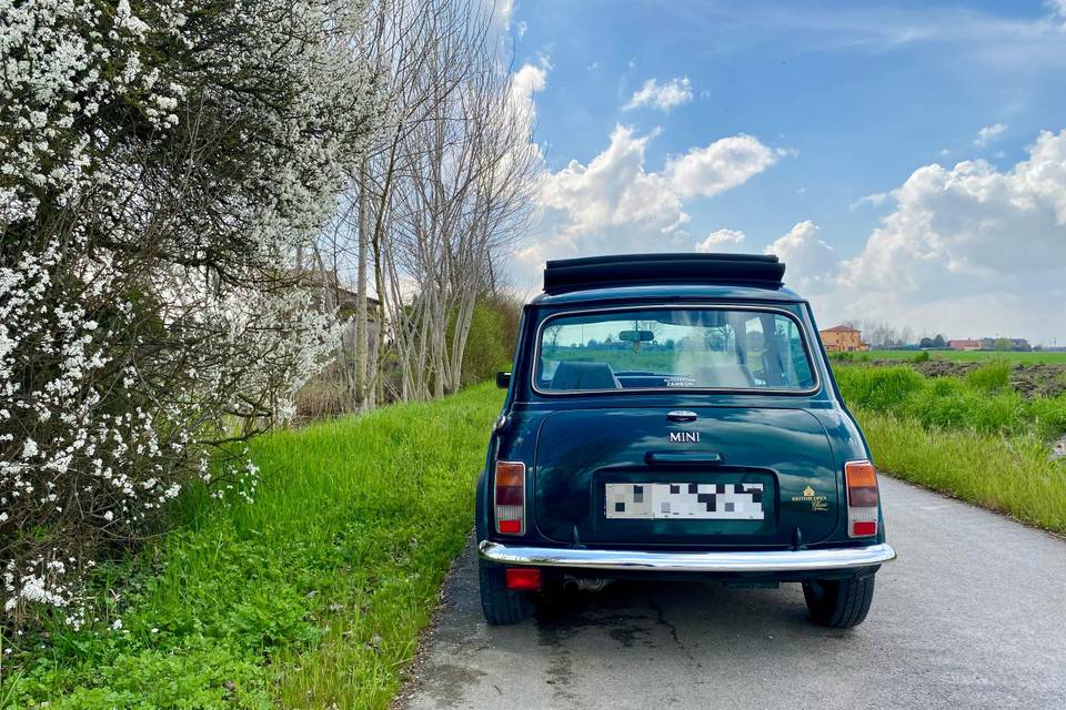 Mini Rover British