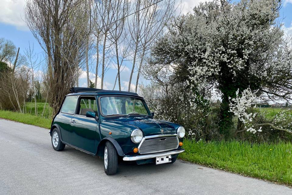 Mini Rover British