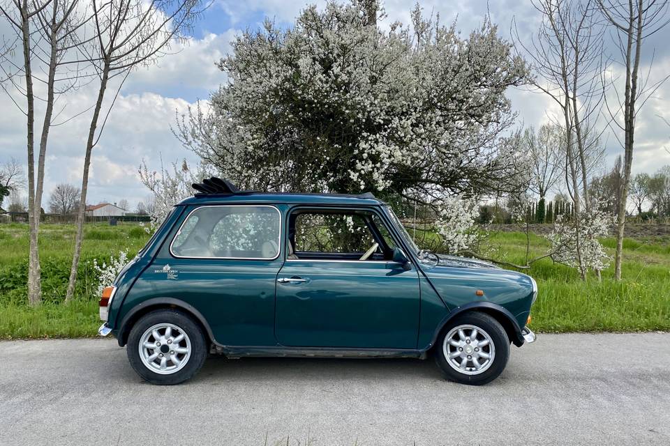 Auto matrimonio