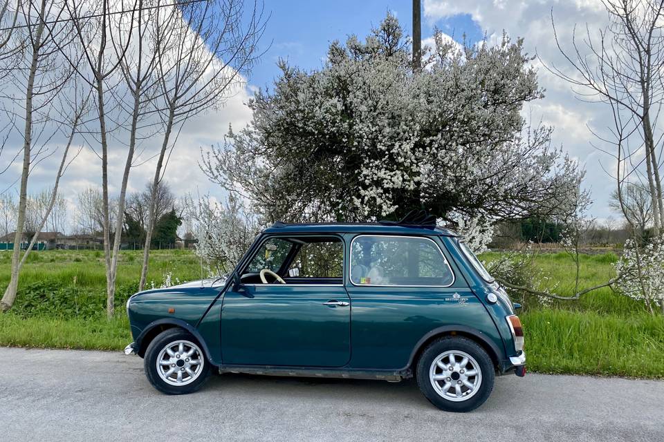 Mini Rover British