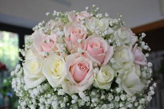 Di fiore in fiore
