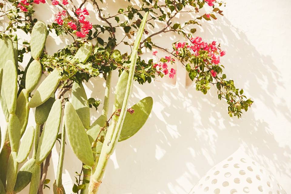 Rossella & Joseph - Puglia