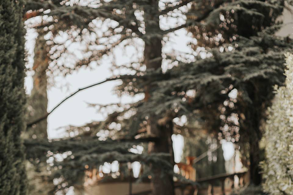 Tuscany wedding